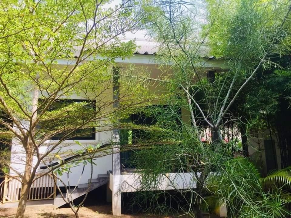 Dg House Villa Thong Sala Eksteriør bilde